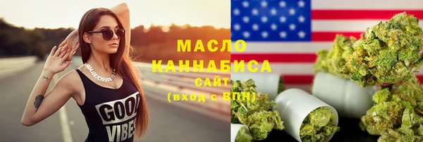 индика Верхний Тагил