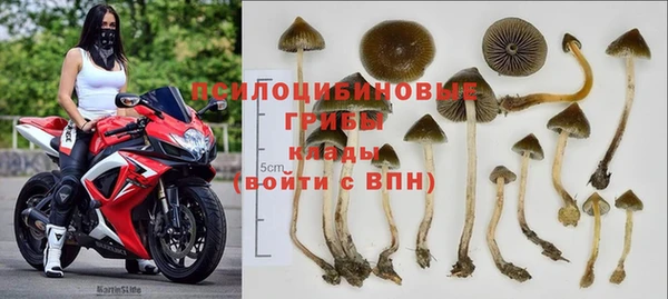 индика Верхний Тагил