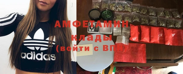 индика Верхний Тагил